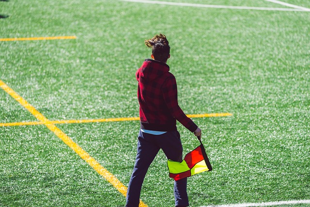 未来展望与 未来展望与