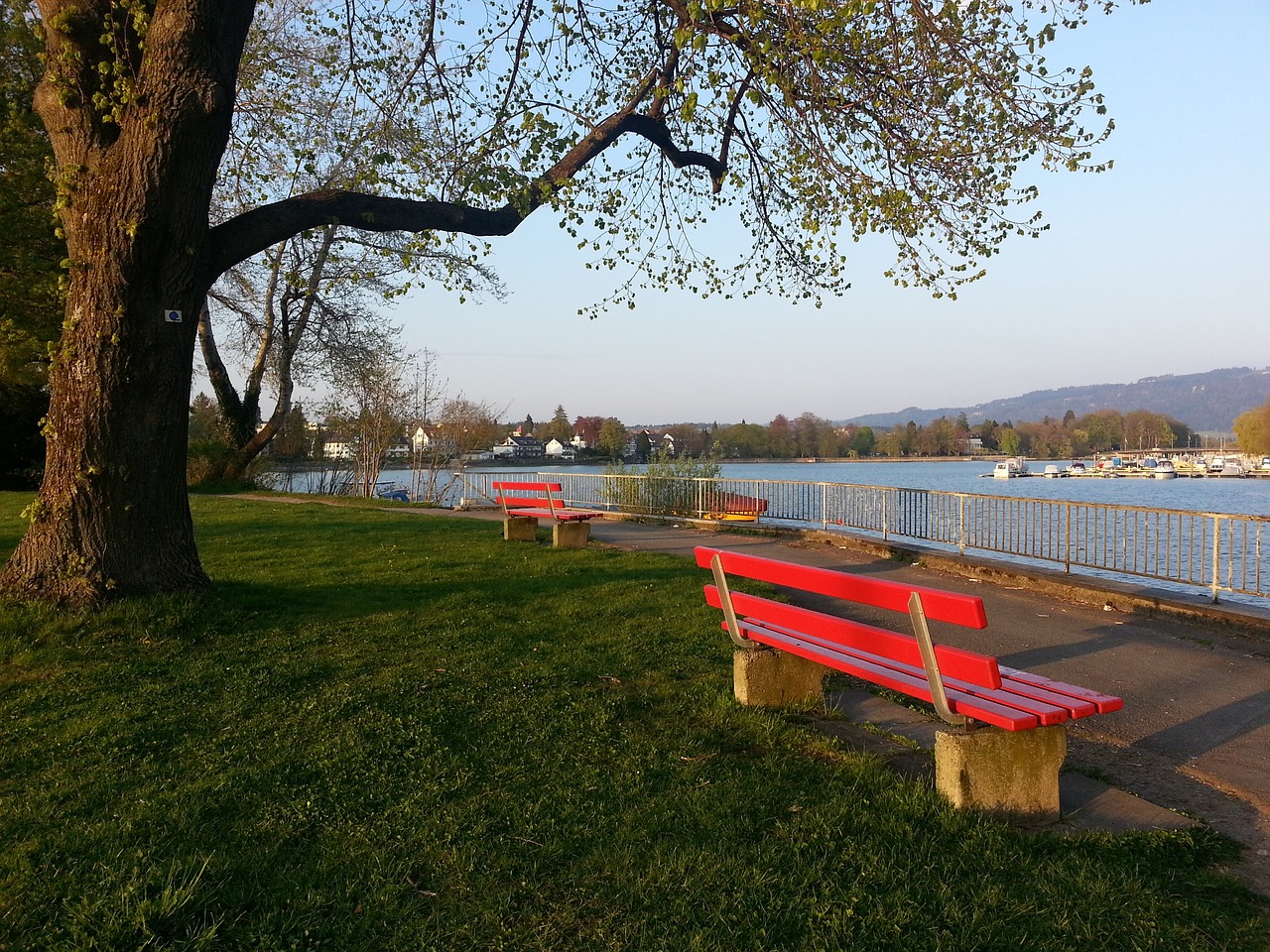 重点防守为 重点防守为