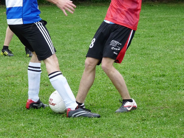 了大量人才 了大量人才