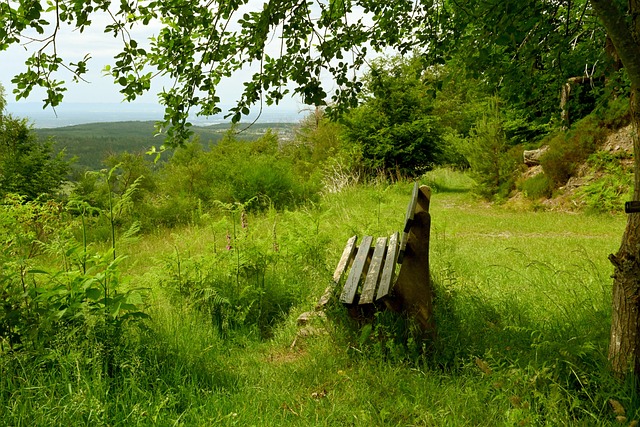 突出表现都 突出表现都