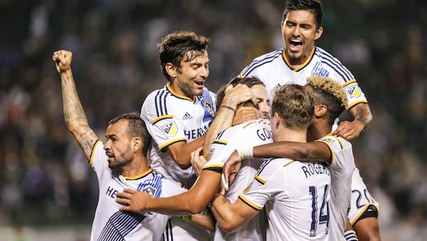 我们看到国 我们看到国